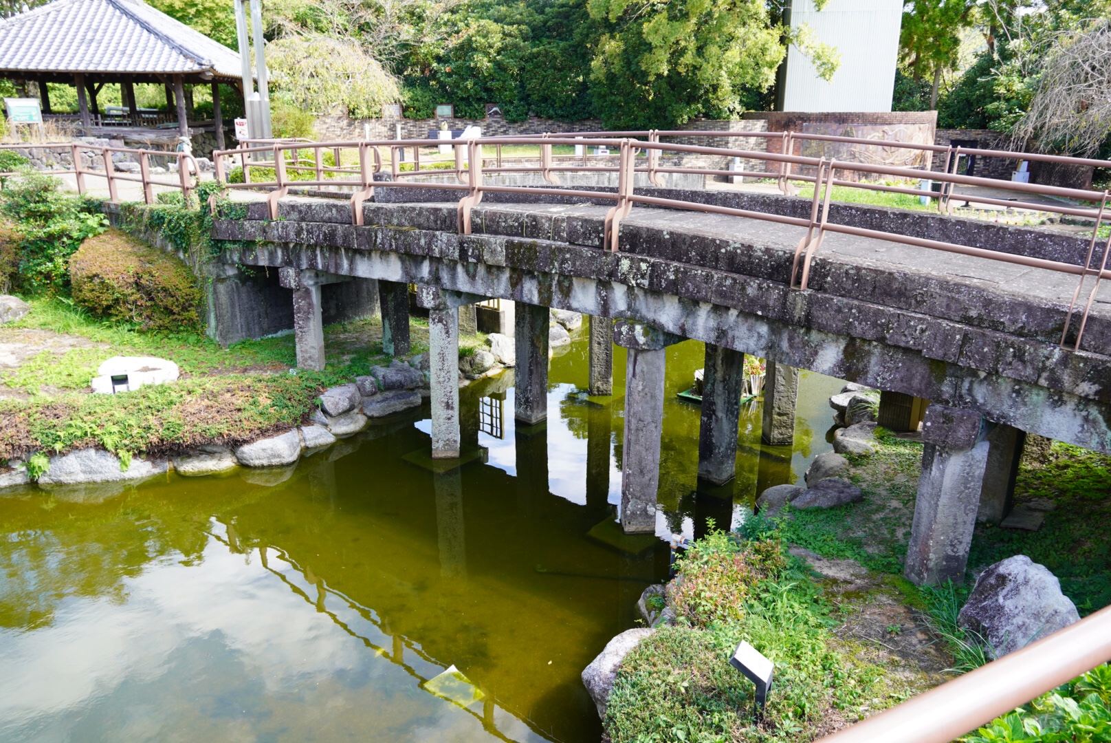 カメラを購入しました。