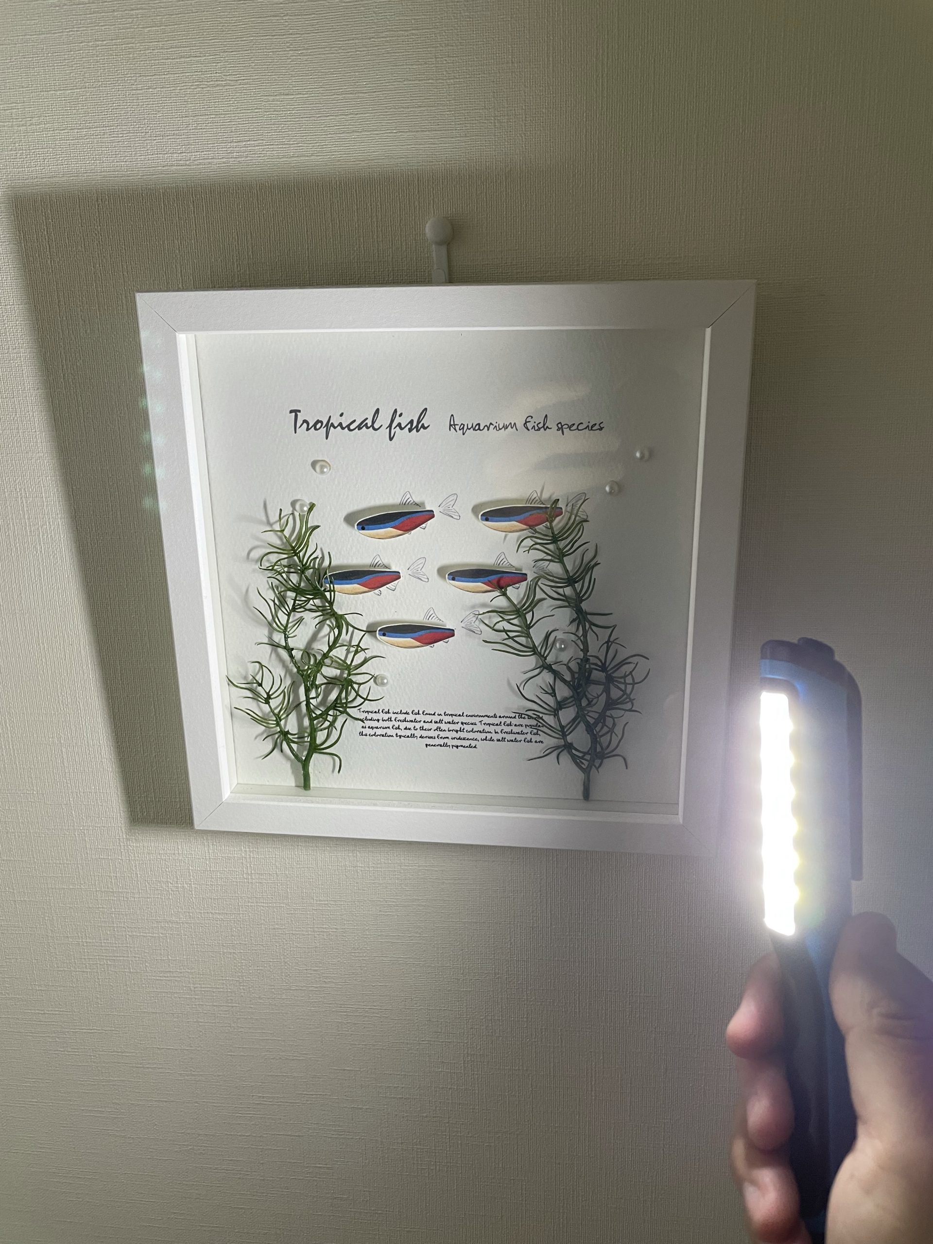 販売促進用懐中電灯